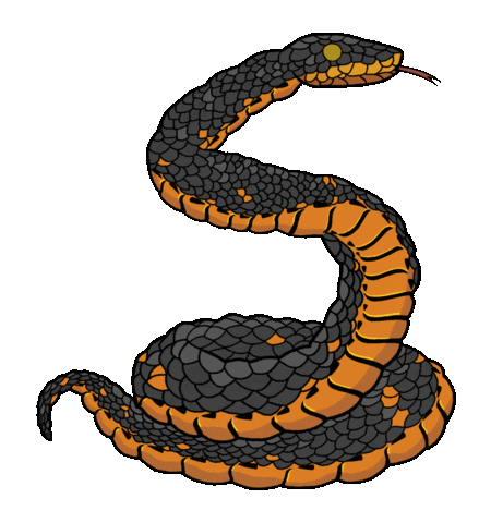 SNAKE GIF